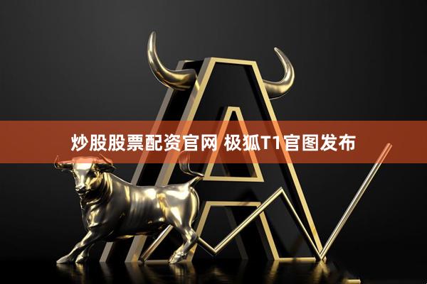 炒股股票配资官网 极狐T1官图发布
